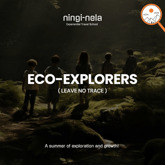 Eco-Explorers Camp